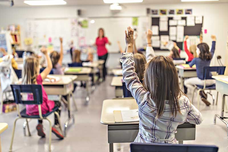 view from the back of an elementary school students raising hands