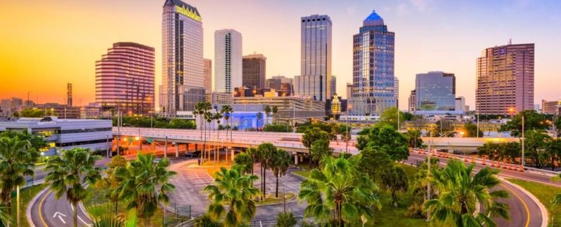The skyline of Tampa, Florida, illuminated by a sunset
