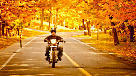Man riding bike beneath fall leaves.