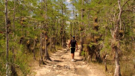 Man hiking along dirt trail.