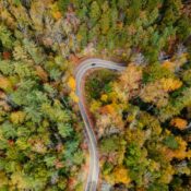 An aerial photograph of a sharp bend in a road surrounded by thick forest