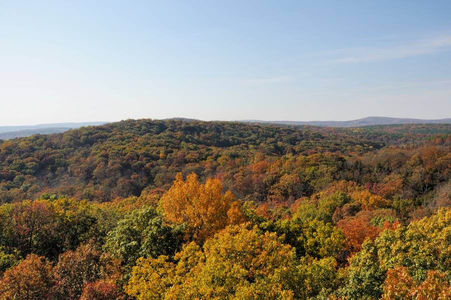 Overlooking the Garden of the Gods; a vast expanse of green and orange treetops