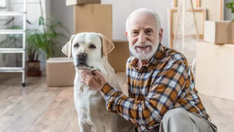 Elderly man sitting on the floor next to his dog in front of several stacks of boxes.