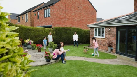 Neighbors playing in the yard.