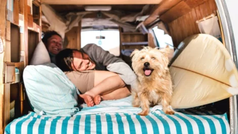 A dog smiling from the back of the RV, with its owners cuddled up in the bed looking outside